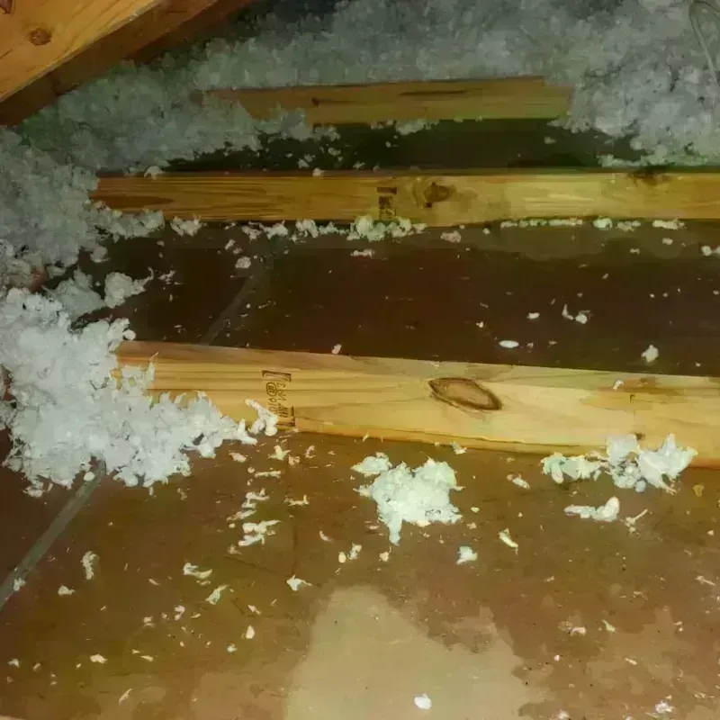 Attic Water Damage in Stuttgart, AR