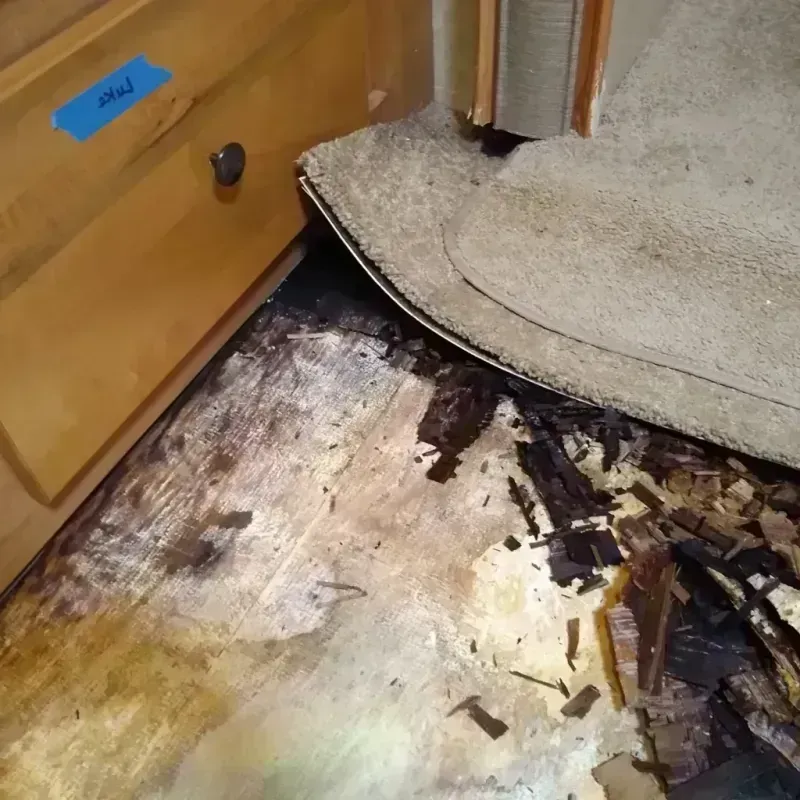 Wood Floor Water Damage in Stuttgart, AR